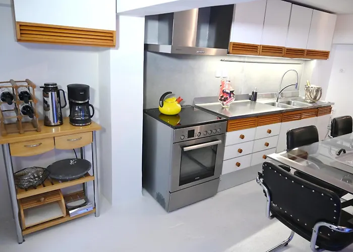 公寓 Two-floor Loft With Private Entrance 帕特雷